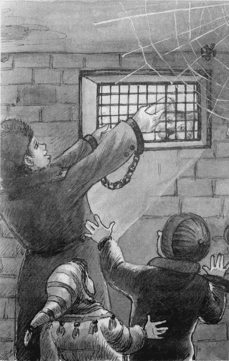 Иллюстрация к книге — Юбилей Деда Мороза [i_035.jpg]