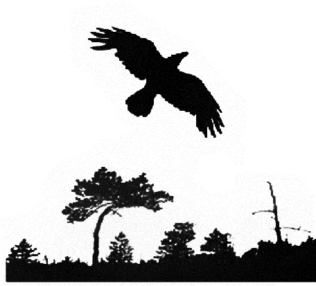 Иллюстрация к книге — Златоуст и Златоустка [i_007.jpg]