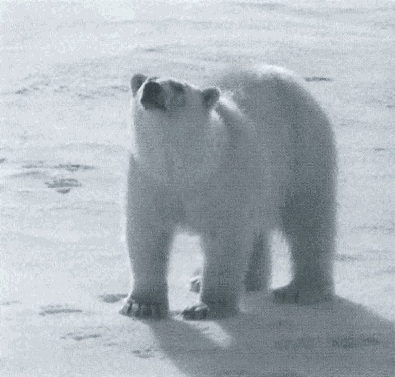 Иллюстрация к книге — Повседневная жизнь советского разведчика, или Скандинавия с черного хода [i_030.jpg]