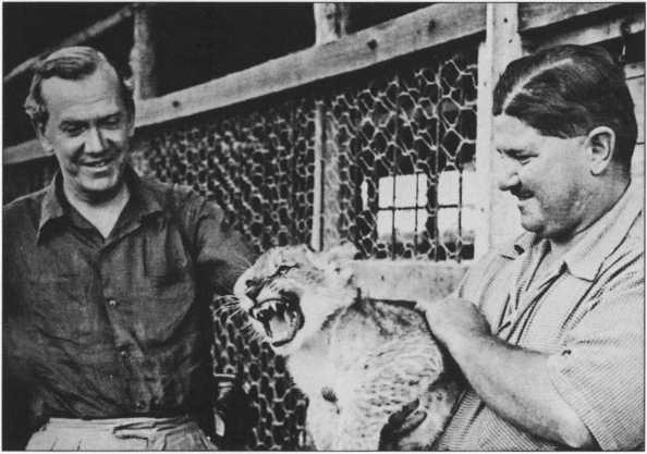 Иллюстрация к книге — Путешествие без карты [img_19.jpg]