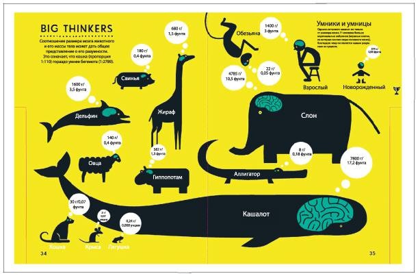 Иллюстрация к книге — Аналитическая культура. От сбора данных до бизнес-результатов [i_056.jpg]