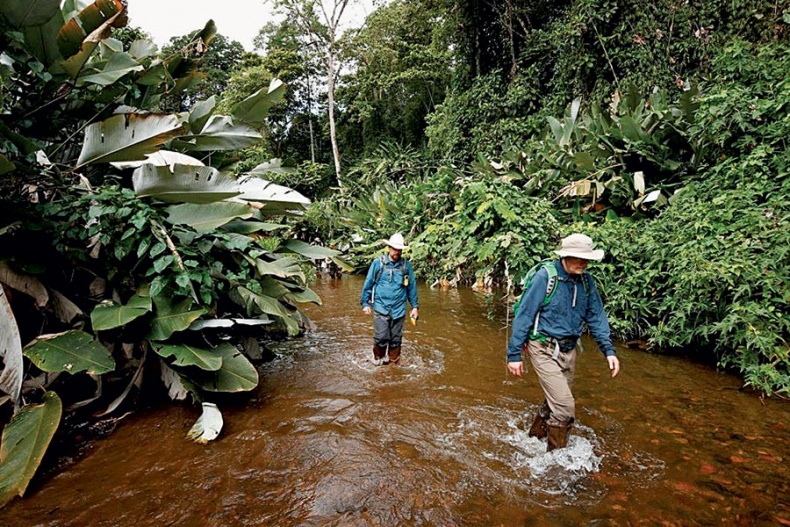 Иллюстрация к книге — Потерянный город Обезьяньего бога [i_020.jpg]