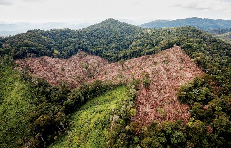 Иллюстрация к книге — Потерянный город Обезьяньего бога [i_036.jpg]