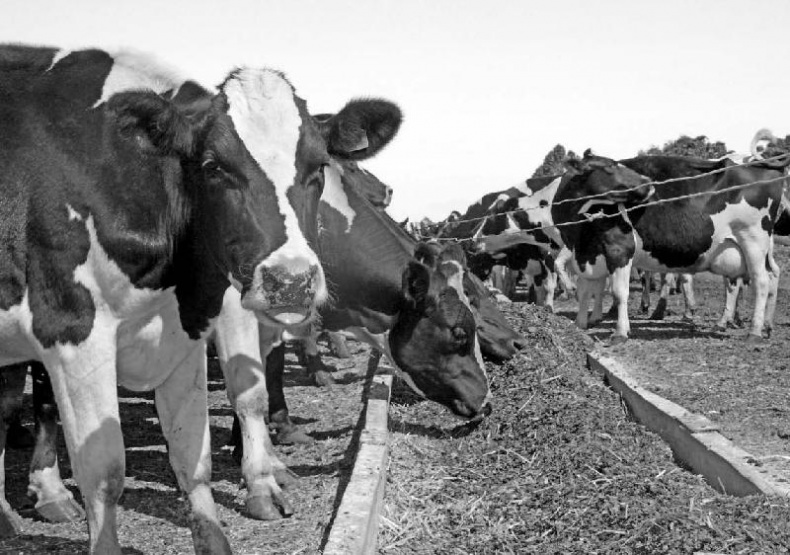 Иллюстрация к книге — Битва за ресурсы [_169.jpg]