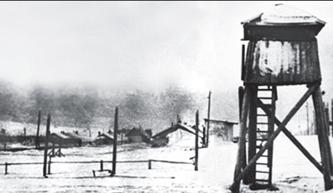 Иллюстрация к книге — Маршал Берия. Штрихи к биографии [i_195.jpg]