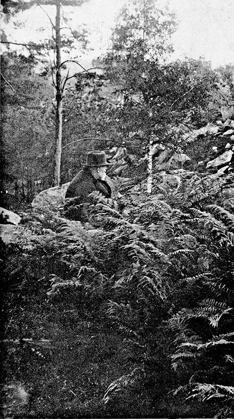 Иллюстрация к книге — Сезанн. Жизнь [i_034.jpg]