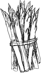 Иллюстрация к книге — 365 салатов и закусок на каждый день [i_007.jpg]