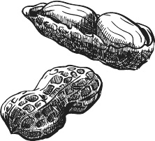 Иллюстрация к книге — 365 салатов и закусок на каждый день [i_008.jpg]