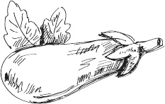 Иллюстрация к книге — 365 салатов и закусок на каждый день [i_037.jpg]