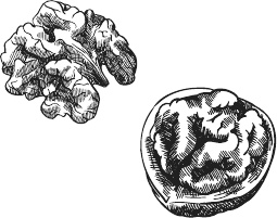 Иллюстрация к книге — 365 салатов и закусок на каждый день [i_038.jpg]