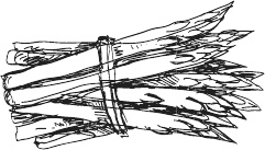 Иллюстрация к книге — 365 салатов и закусок на каждый день [i_065.jpg]