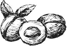 Иллюстрация к книге — 365 салатов и закусок на каждый день [i_078.jpg]