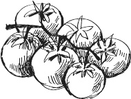 Иллюстрация к книге — 365 салатов и закусок на каждый день [i_091.jpg]