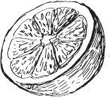 Иллюстрация к книге — 365 салатов и закусок на каждый день [i_101.jpg]