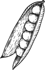 Иллюстрация к книге — 365 салатов и закусок на каждый день [i_113.jpg]