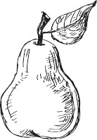 Иллюстрация к книге — 365 салатов и закусок на каждый день [i_114.jpg]