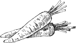 Иллюстрация к книге — 365 салатов и закусок на каждый день [i_133.jpg]