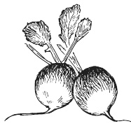 Иллюстрация к книге — 365 салатов и закусок на каждый день [i_137.jpg]