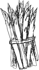 Иллюстрация к книге — 365 салатов и закусок на каждый день [i_140.jpg]