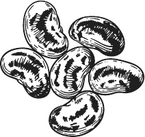 Иллюстрация к книге — 365 салатов и закусок на каждый день [i_151.jpg]