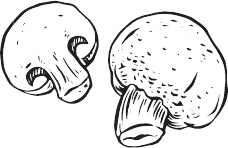 Иллюстрация к книге — 365 салатов и закусок на каждый день [i_168.jpg]