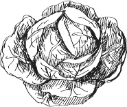 Иллюстрация к книге — 365 салатов и закусок на каждый день [i_201.jpg]