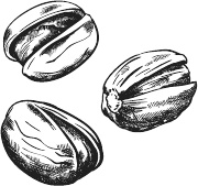 Иллюстрация к книге — 365 салатов и закусок на каждый день [i_203.jpg]