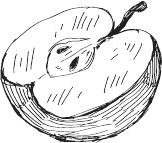 Иллюстрация к книге — 365 салатов и закусок на каждый день [i_208.jpg]