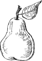 Иллюстрация к книге — 365 салатов и закусок на каждый день [i_210.jpg]