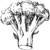 Иллюстрация к книге — 365 салатов и закусок на каждый день [i_225.jpg]