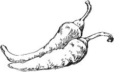 Иллюстрация к книге — 365 салатов и закусок на каждый день [i_235.jpg]