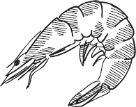 Иллюстрация к книге — 365 салатов и закусок на каждый день [i_244.jpg]