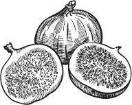 Иллюстрация к книге — 365 салатов и закусок на каждый день [i_277.jpg]