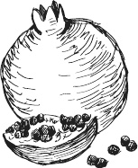 Иллюстрация к книге — 365 салатов и закусок на каждый день [i_288.jpg]