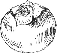 Иллюстрация к книге — 365 салатов и закусок на каждый день [i_294.jpg]