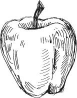 Иллюстрация к книге — 365 салатов и закусок на каждый день [i_295.jpg]