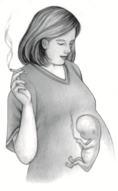 Иллюстрация к книге — В ожидании малыша (обновленное издание) [i_019.jpg]