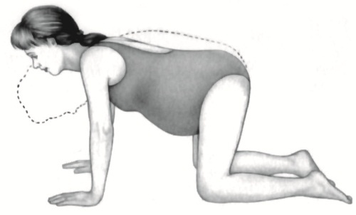 Иллюстрация к книге — В ожидании малыша (обновленное издание) [i_076.jpg]