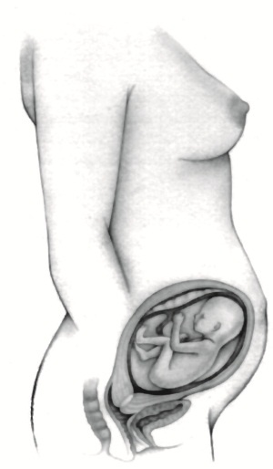 Иллюстрация к книге — В ожидании малыша (обновленное издание) [i_085.jpg]