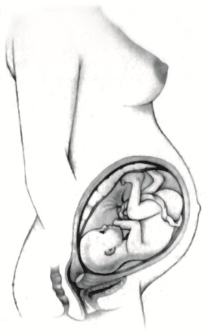 Иллюстрация к книге — В ожидании малыша (обновленное издание) [i_104.jpg]