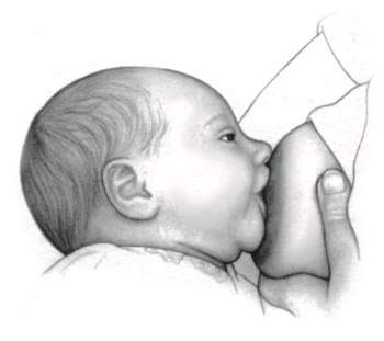 Иллюстрация к книге — В ожидании малыша (обновленное издание) [i_156.jpg]