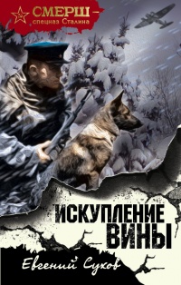 Книга Искупление вины