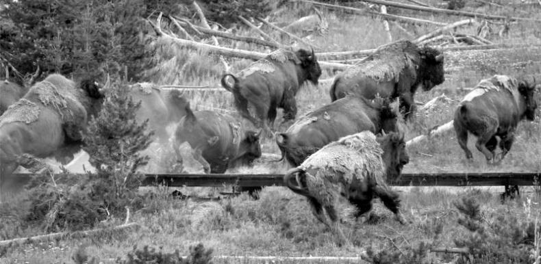 Иллюстрация к книге — Тайны Апокалипсиса [i_037.jpg]