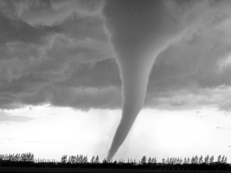 Иллюстрация к книге — Тайны Апокалипсиса [i_046.jpg]