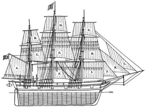 Иллюстрация к книге — В сердце моря. Трагедия китобойного судна "Эссекс" [i_001.jpg]
