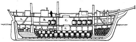 Иллюстрация к книге — В сердце моря. Трагедия китобойного судна "Эссекс" [i_003.jpg]