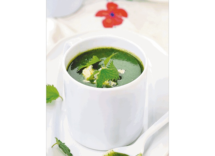 Иллюстрация к книге — Быстрый обед [i_066.jpg]