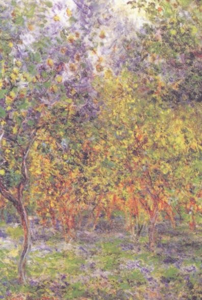 Иллюстрация к книге — Клод Моне [i_048.jpg]