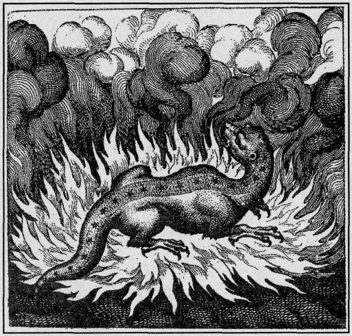 Иллюстрация к книге — Феномен Фулканелли. Тайна алхимика XX века [i_002.jpg]