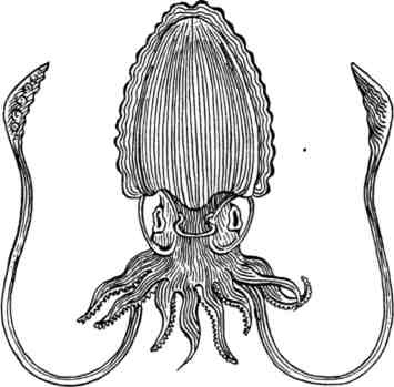 Иллюстрация к книге — Произведение в алом [img_35.jpg]